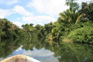Picture214.jpg